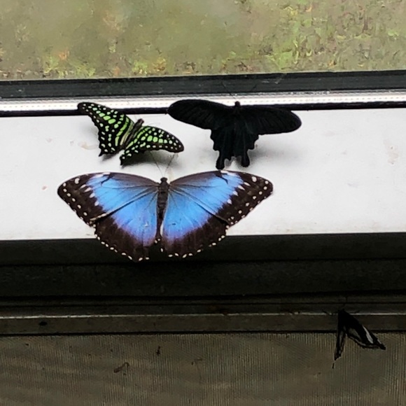 Meet your Posher, Jennifer - Picture 7 of 15